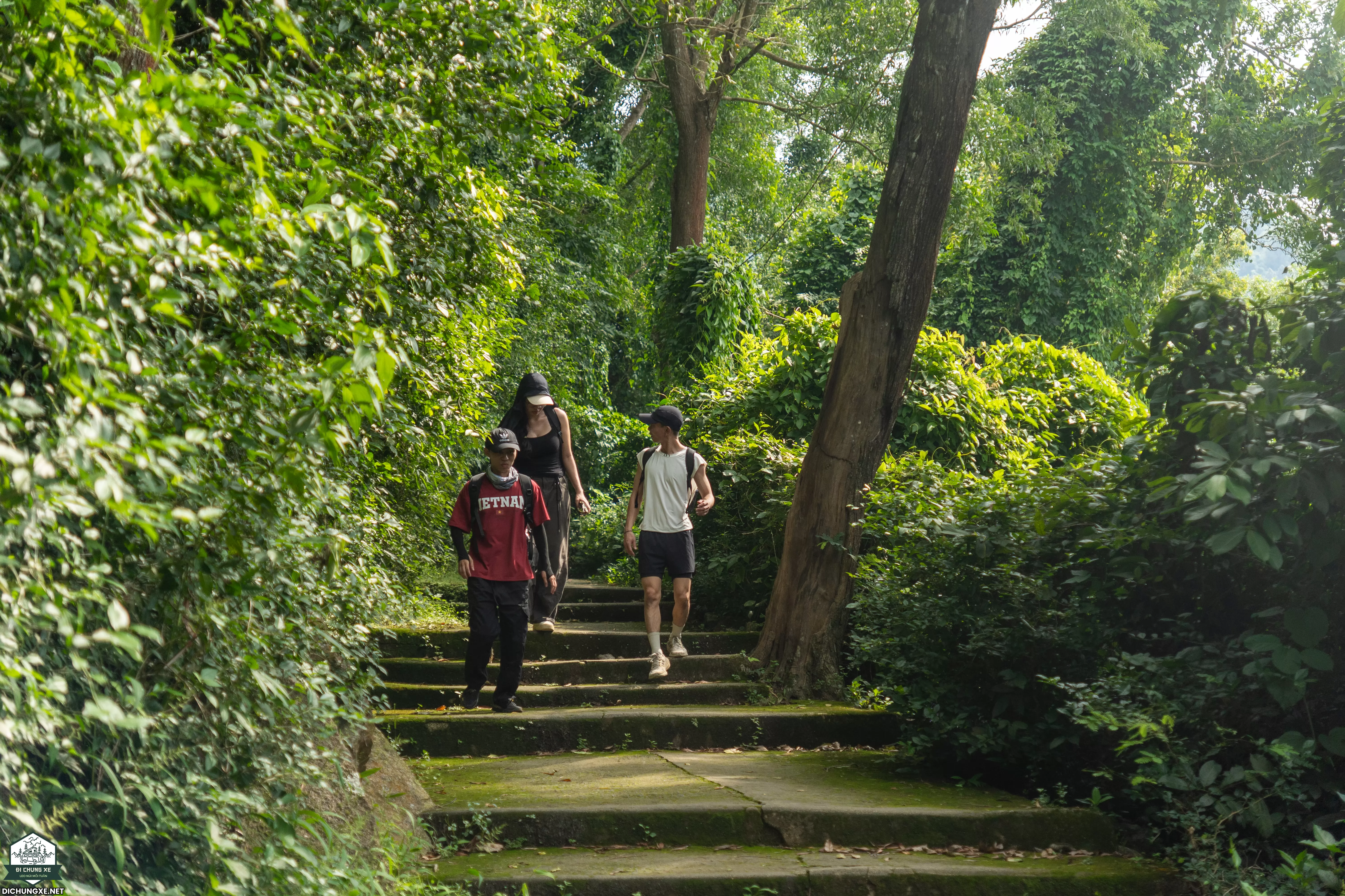 Núi Chứa Chan - nóc nhà Đồng Nai